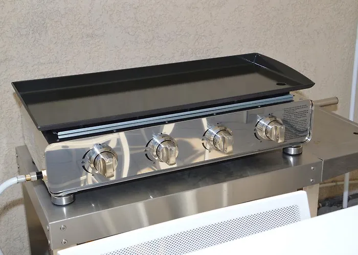 Appartement Appart Duplex Laennec *